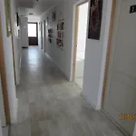 Da-i Pace Mai * Corbu (Constanta)