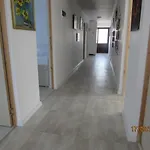 Da-i Pace Mai *