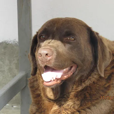 Da-i Pace Mai * Corbu (Constanta)